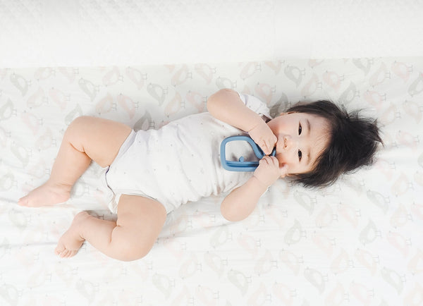 Itzy Ritzy Silicone Teether - Orange Fox
