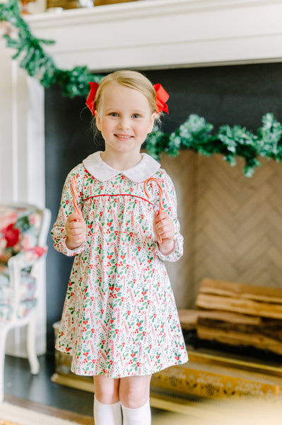 The Proper Peony Parkside Pima Mistletoe Yoke Dress