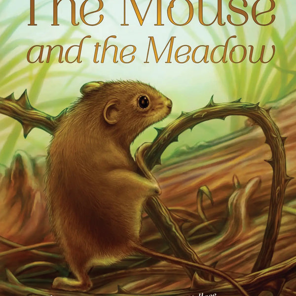 Storybook The Mouse and the Meadow