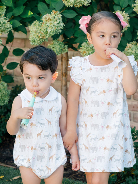 The Proper Peony Parkside Pima Party Animals Sleeveless Dress