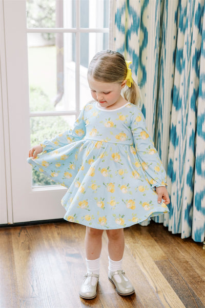 The Proper Peony Parkside Pima Patch Twirl Dress LS