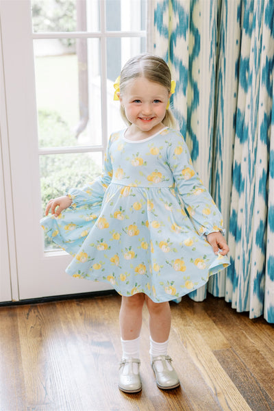The Proper Peony Parkside Pima Patch Twirl Dress LS