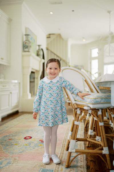 The Proper Peony Parkside Pima - Flanders Poppy LS A-Line Dress