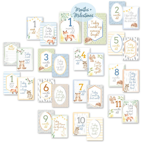 Itzy Ritzy Double Sided Milestone Cards