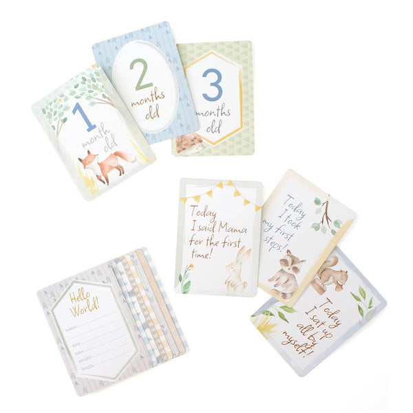 Itzy Ritzy Double Sided Milestone Cards