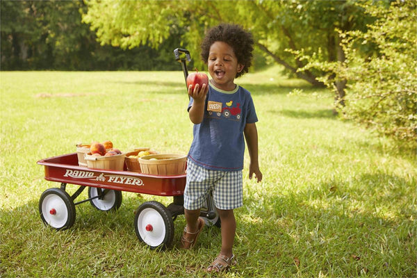 Mud Pie Boy Short Set - Farm Fresh